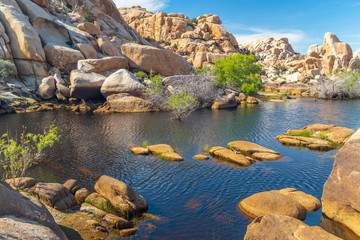 Water in desert. The reservoir above the Barker Dam in Joshua Tree National Park, California