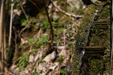 Wasserstrahl auf moosigem kleinem Mühlrad 