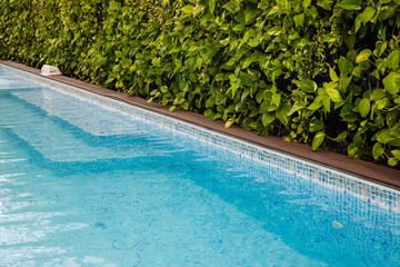 Green live plants wall near clear blue swimming poll