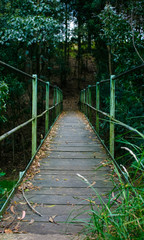 Obraz premium długa droga