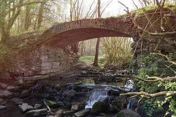 Lost Place: Historische, verfallene Brücke im Geisterholz bei Oelde