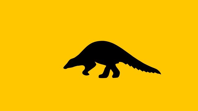 Walking pangolin, animation on the yellow background