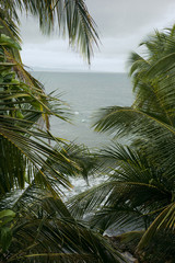 Fototapeta na wymiar Ocean View With Framing Palms - Costa Rica 