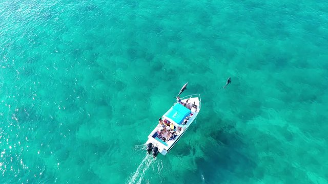 a small motorboat drives over a coral reef with dolphins at Flic en Flac, Mauritius, Africa