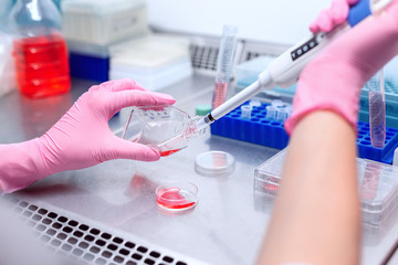 Specialist scientist mixes chemical reagents in a sterile professional laboratory with a hood....