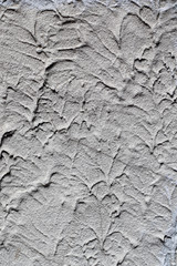 Texture of Stucco