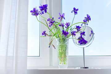 Close up of beautiful blue purple irises in vase, make-up mirror on window