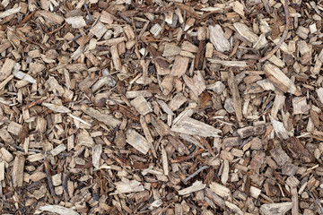 Texture of Wood Chips