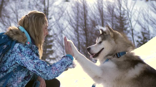 Cute fluffy dog gives high five to attractive young female owner, slow motion