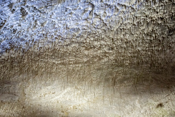 Inside Postojna cave in Slovenia
