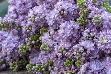 close-up of lilacs on an old wooden table