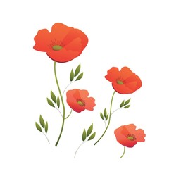 Naklejka premium Red poppies. Poppy wreath. Wildflowers. Summer is coming. Vector illustration in flat style. Set of floral elements for design and decoration.