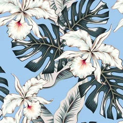 Stickers pour porte Orchidee Fleurs d& 39 orchidées blanches tropicales, monstera, feuilles de palmier bananier, fond bleu. Modèle sans couture de vecteur. Illustration de feuillage de la jungle. Plantes exotiques. Conception florale de plage d& 39 été. Nature paradisiaque