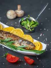 vertical view to grilled trout with sprouts and tomatoes and mushrooms