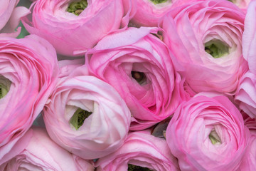 a beautiful bouquet of pink ranunculus flowers
