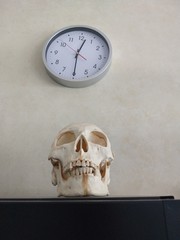 skull and clock