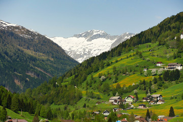 scenery in austria with green mountains around and snow on the background in a big valley 