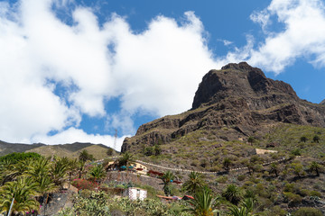 Tenerife - Near the wonderful village of Masca
