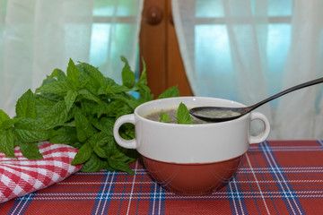 Un plato de sopa con hojas de menta