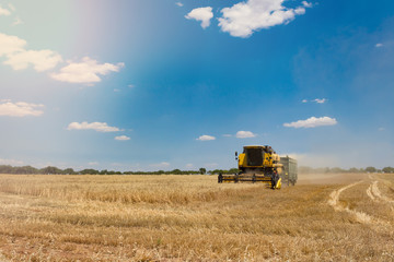 Obraz premium combine harvester working on a field