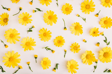 Obraz premium Spring or summer background. yellow flowers. composition yellow calendula. Top view. Flat lay.