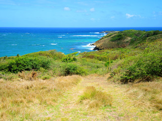Fototapeta na wymiar Windward coast of a Caribbean island.