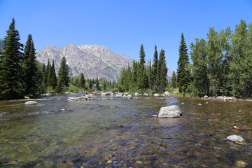 Pristine river flow 