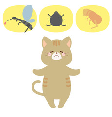 ネコと蚊・ノミ・ダニ