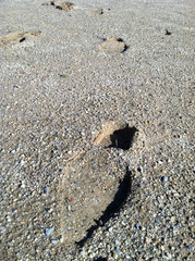 boot footprint in wet sand on beach