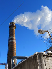 Chimney smoke with blue sky