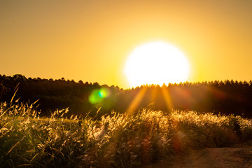 Golden Hour in quarentene