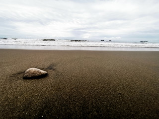 Stone on a beach in Puntarenas, Costa Rica