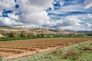 Fototapeta na wymiar Farming fields in Spain. Food growing industry background. Nothing to harvest empty field. Walking to the Caminito del Ray in North of Malaga. Countryside rural landscape.