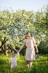 Mother and little daughter walk in blooming apple garden. Mom loves her child. Spring story. Toddler girl sits on little chair in apple garden. Happy family in beautiful spring day. Tender relations