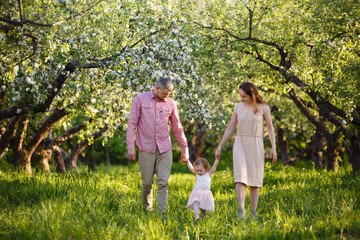 Naklejka na ściany i meble little daughter with parents on a picnic in blooming apple garden. Mom loves her child. Spring story. Toddler girl with family in apple garden. Happy family in beautiful spring day. Tender relations