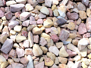 Rock garden outdoors.