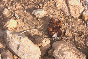 A rusty soda can forgotten on the dirt and stone floor