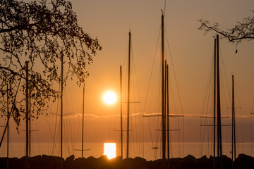 Sailboat masts at sunset in Trieste, Italy