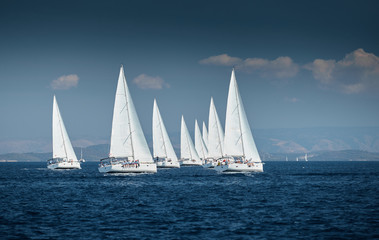 Fototapeta premium The race of sailboats, a sail regatta, reflection of sails on water, Intense competition, number of boat is on aft boats, Bright colors, island is on background