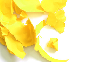pieces of ripped yellow paper isolated on white background