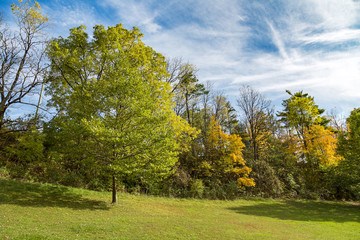 Beautiful autumn view of Kelso conservation area