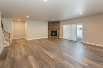 Bonus Room with Fire Place