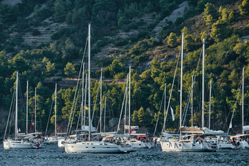 Is a lot of sailboats in marina in Croatia at sunset, Island with green trees are on background, is near the city Vis