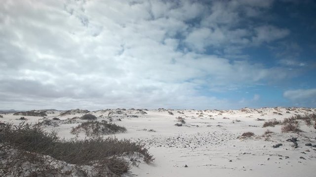 desert beach at  el cotillo in Fuerteventura