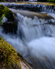 Close up of Moss in front of flowing water