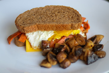 A view of delicious vegetarian sandwich 