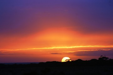 Fototapeta na wymiar Silhouette Of Tree Against Sky During Sunset