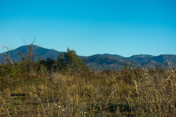 Grassy field on the top of a series of hills