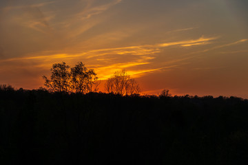 sunset over the field