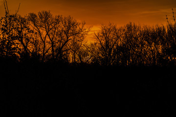 sunset in the field